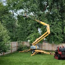 Best Landscape Design and Installation  in Cherokee, IA