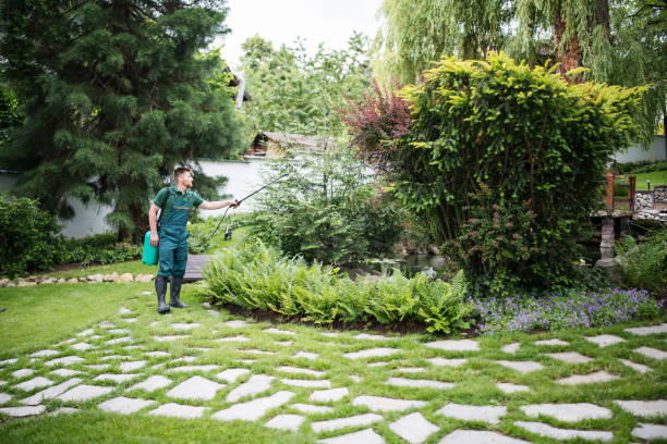 Lawn Pest Prevention in Cherokee, IA